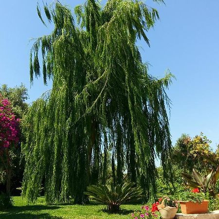 La Casa Dei Sogni Bed & Breakfast Siraküza Dış mekan fotoğraf
