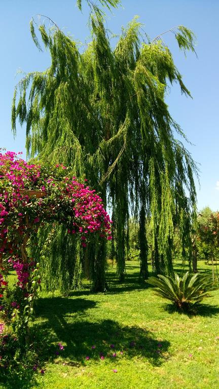 La Casa Dei Sogni Bed & Breakfast Siraküza Dış mekan fotoğraf