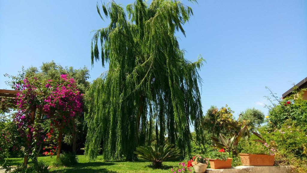 La Casa Dei Sogni Bed & Breakfast Siraküza Dış mekan fotoğraf