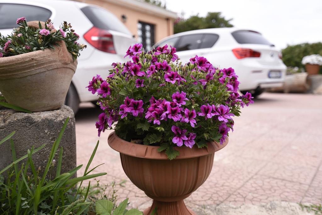 La Casa Dei Sogni Bed & Breakfast Siraküza Dış mekan fotoğraf